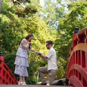 Gallery Photo 56