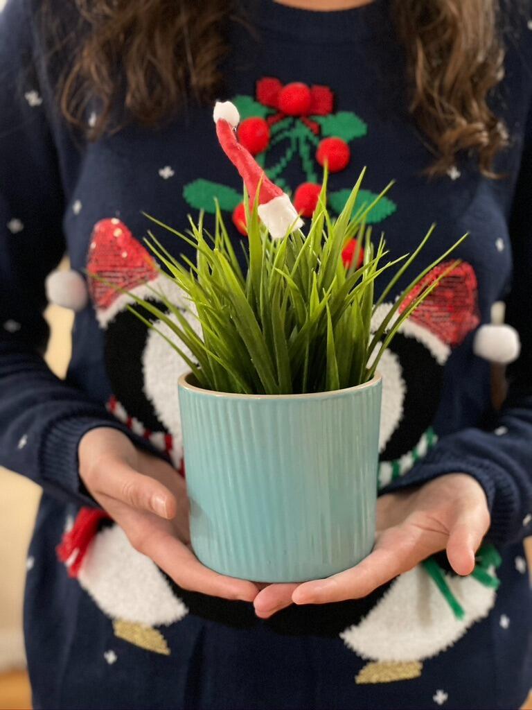 And so did our plants!