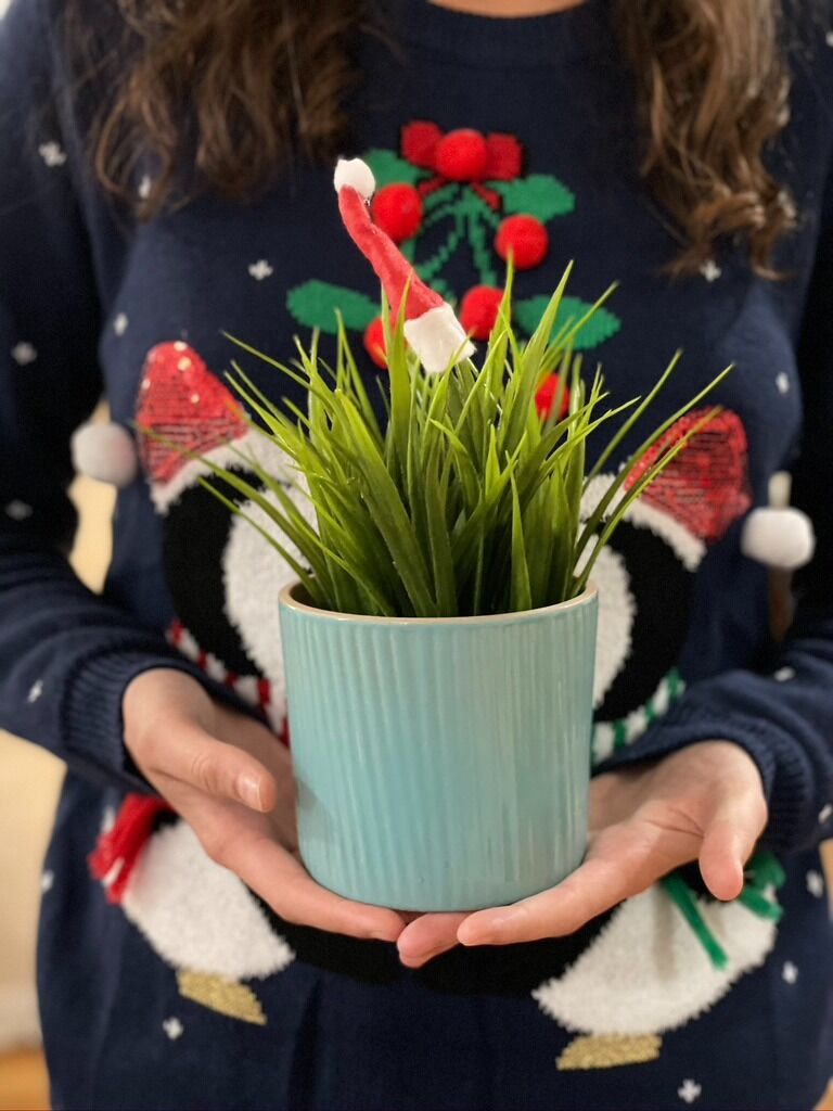 And so did our plants!