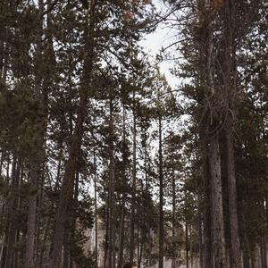Gallery Photo 55