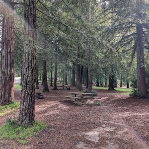 Gallery Photo 2