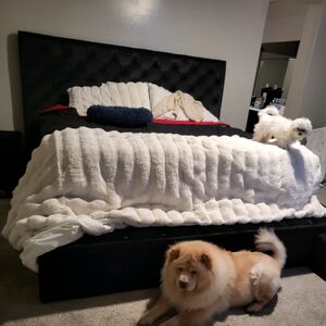 Gallery Photo 41