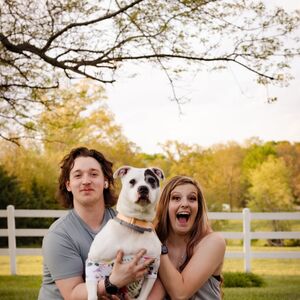 Gallery Photo 5