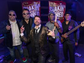 SHAKIN' and STIRRED Band - Top 40 Band - Columbus, OH - Hero Gallery 3
