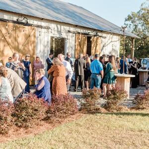 Gallery Photo 448