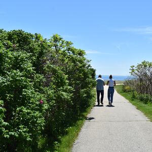 Gallery Photo 16