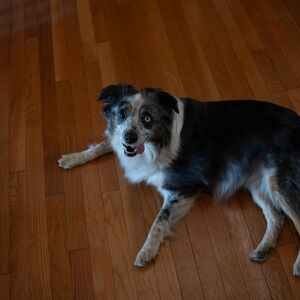 Gallery Photo 181