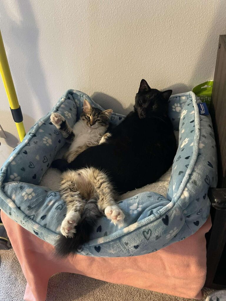 Funny to think , that we were worried "How are they gonna get along together?". PFFFF. No worries, they have such a cute brother-sister bond!