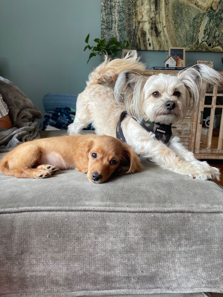 Brothers Hangin' Out!