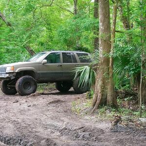 Gallery Photo 49