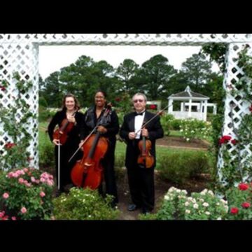 Arte Musicale String Ensemble - String Quartet - Newport News, VA - Hero Main