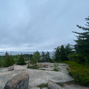 Gallery Photo 4