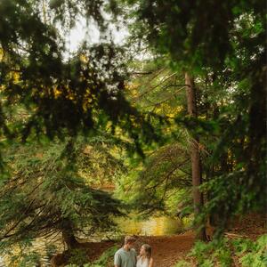 Gallery Photo 20