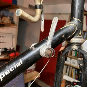 Gallery Photo 8