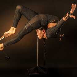 Elan Productions, profile image