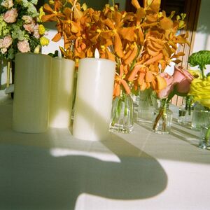Gallery Photo 130