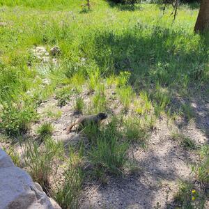 Gallery Photo 39