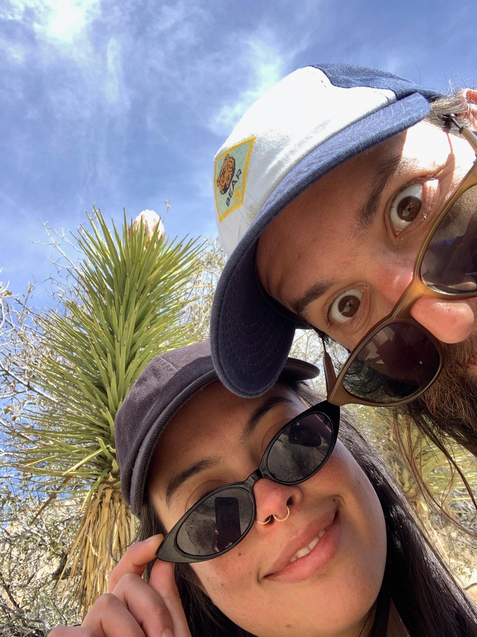 Joshua Tree National Park