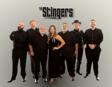 The Stingers Music - Classic Rock Band - Oak Lawn, IL - Hero Main