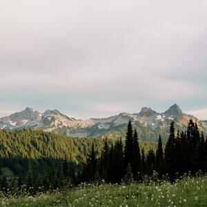 Gallery Photo 61