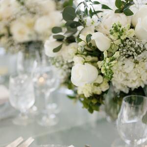 Gallery Photo 337