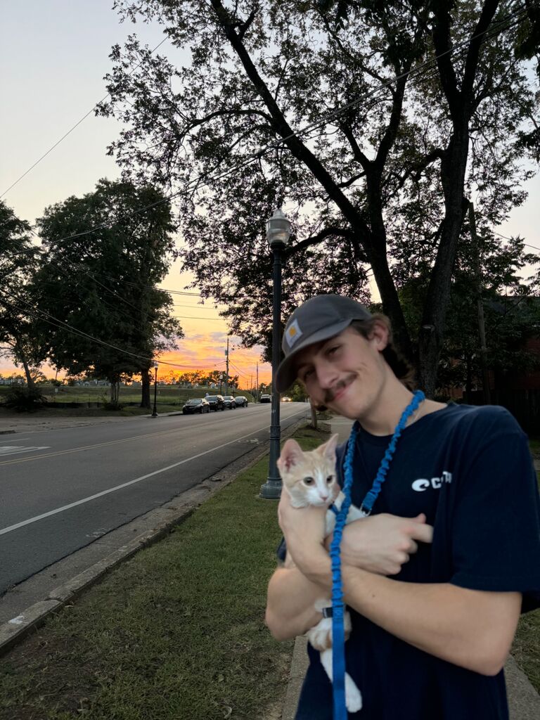 First walk with our new kitten!