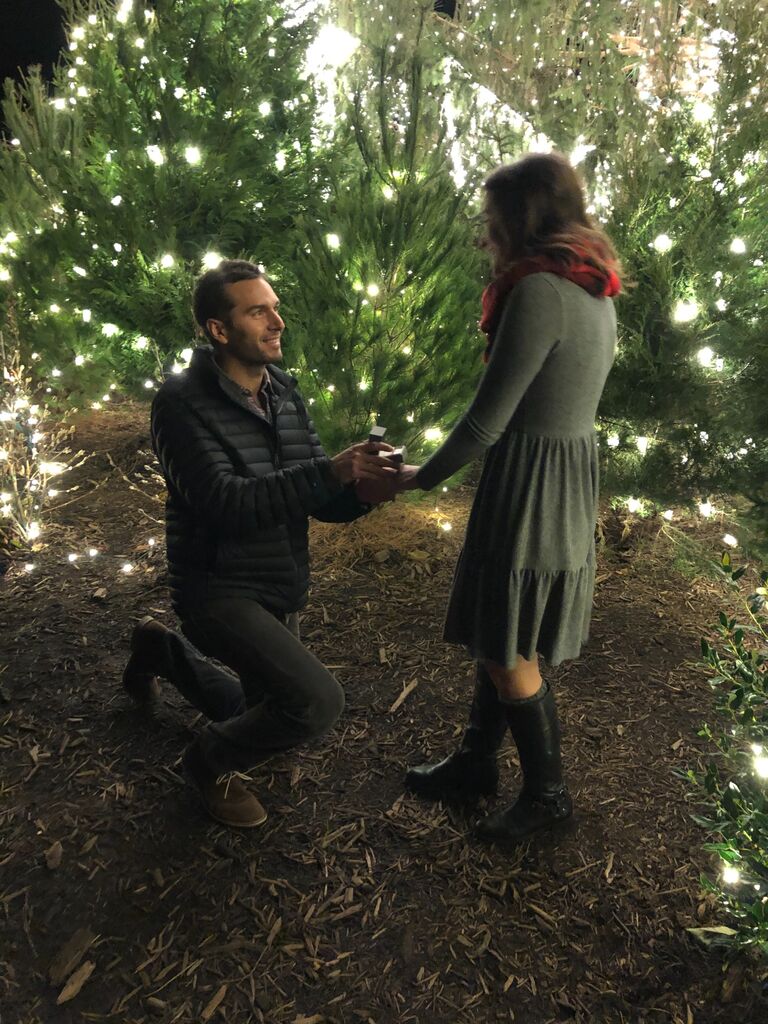 After touring the Biltmore with Mindy's family, Andrew shocks everyone by proposing. Spoiler alert...Mindy said yes!