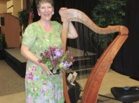 Have Harp Will Travel - Harpist - Mora, MN - Hero Gallery 3