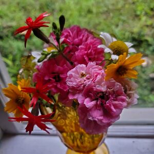 Gallery Photo 37