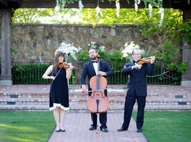 Quartet / Trio Maxim - Classical Trio - Fairfield, CA - Hero Gallery 1