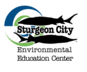 Vendor Logo