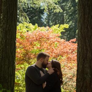 Gallery Photo 5