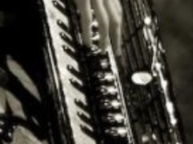 Sansa Asylum singing accordionist - Accordion Player - Los Angeles, CA - Hero Gallery 3