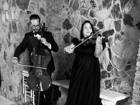 Anthology Entertainment - String Quartet - Orlando, FL - Hero Gallery 3