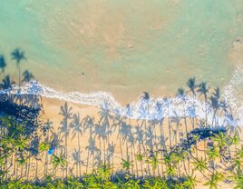 tropical aerial view of the ocean and palm tree shadows for black friday travel deals and cyber monday honeymoon deals