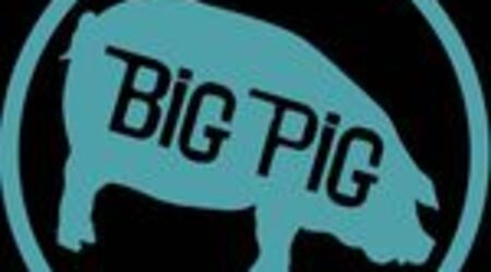 Big pig barbeque sale