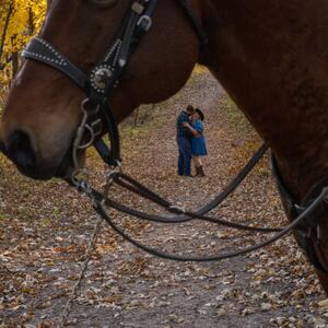 Gallery Photo 36