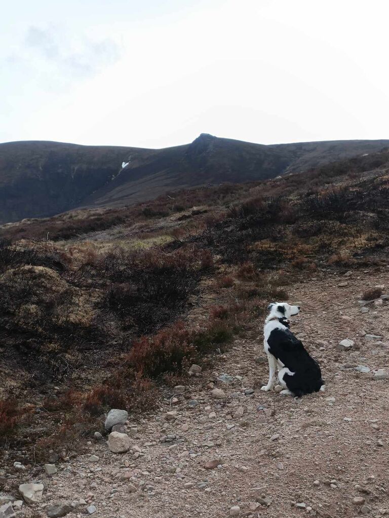 The snow heart of Benn Rinnes