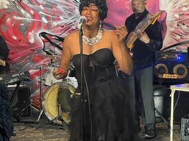 Connie Wilson & Company - Cover Band - Dolton, IL - Hero Gallery 3