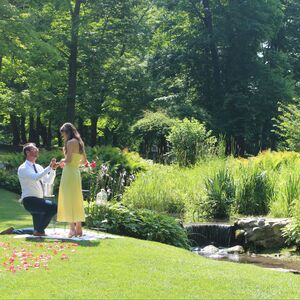 Gallery Photo 7