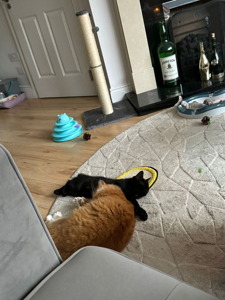 Brotherly  love- Valentino eventually accepted defeat 