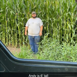 Gallery Photo 15