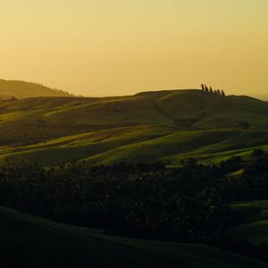 Gallery Photo 31