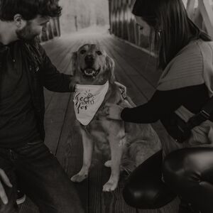 Gallery Photo 4
