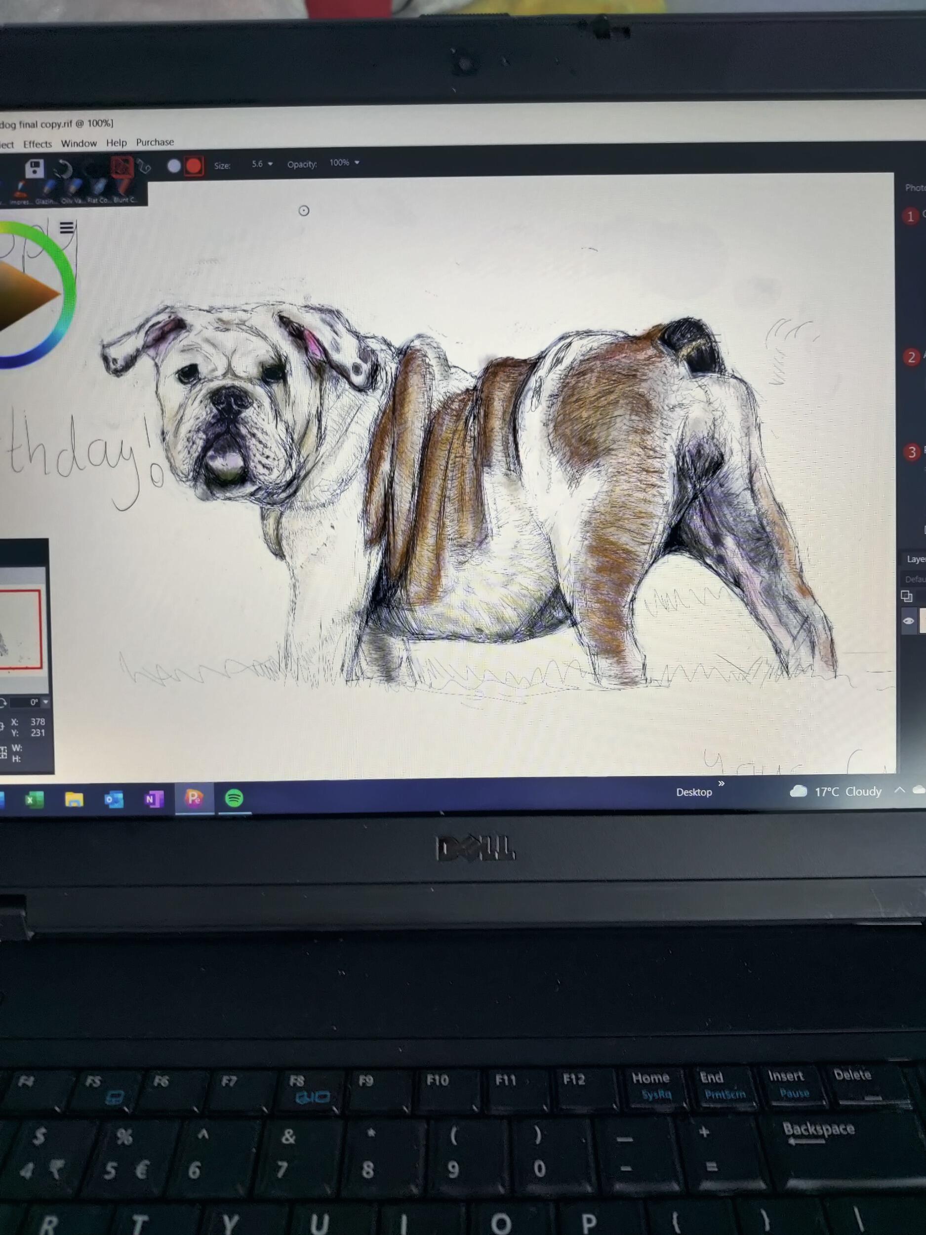 Bekka's first birthday present to Brendan; a drawing of his favourite dog breed!