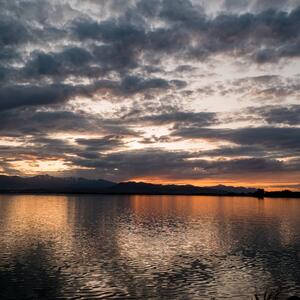 Gallery Photo 255