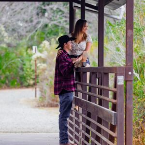 Gallery Photo 45