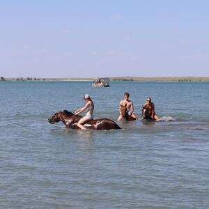 Gallery Photo 40