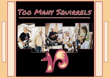 Too Many Squirrels - Cover Band - Sacramento, CA - Hero Main