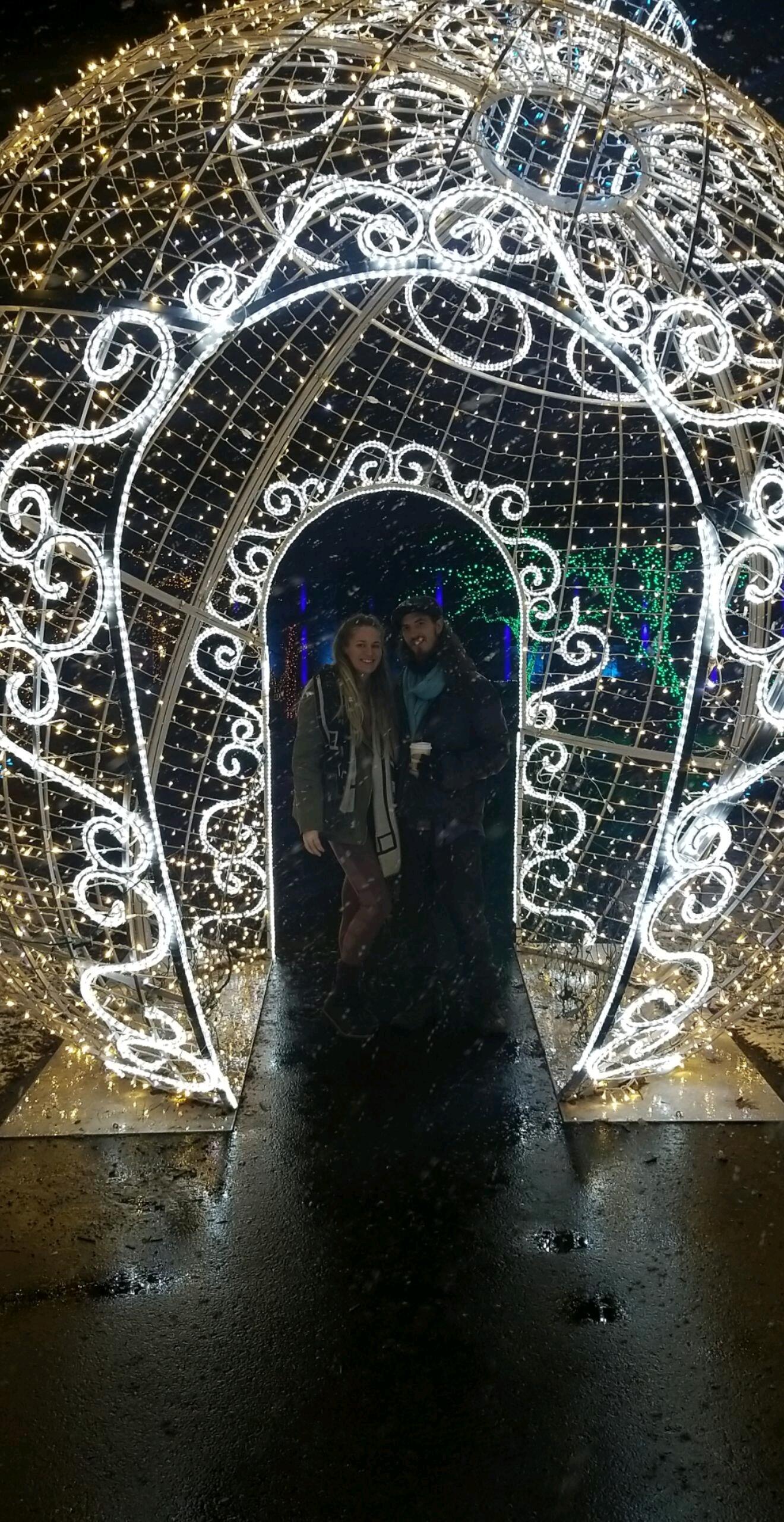 Wild Lights at the Detroit Zoo. 🎄